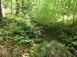 Culvert Crossing, Mason Twp, Maine