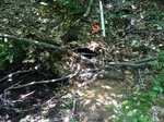Culvert Crossing, Mason Twp, Maine