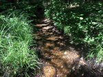 Culvert Crossing, Mason Twp, Maine