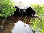 Multiple Culvert Crossing, Fayette, Maine