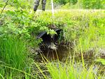Multiple Culvert Crossing, Fayette, Maine