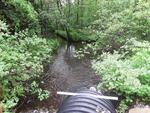 Culvert Crossing, Wayne, Maine