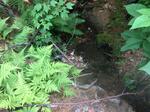 Culvert Crossing, Jay, Maine