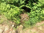 Culvert Crossing, Jay, Maine