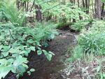 Multiple Culvert Crossing, Wales, Maine