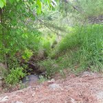 Culvert Crossing, Hebron, Maine