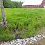 Culvert Crossing, Hebron, Maine