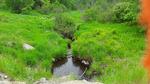 Culvert Crossing, Turner, Maine