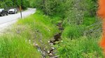Culvert Crossing, Turner, Maine