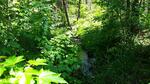Culvert Crossing, Livermore Falls, Maine