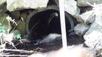 Culvert Crossing, Livermore Falls, Maine