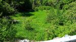 Culvert Crossing, Livermore Falls, Maine