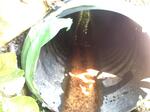Culvert Crossing, Woodstock, Maine