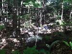 Culvert Crossing, Wayne, Maine