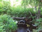 Culvert Crossing, Wayne, Maine