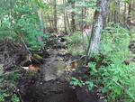 Culvert Crossing, Wayne, Maine