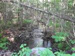 Culvert Crossing, Wayne, Maine
