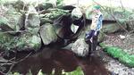 Culvert Crossing, Lowelltown Twp, Maine