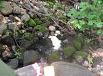 Culvert Crossing, Jay, Maine