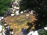 Culvert Crossing, Greene, Maine