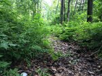 Culvert Crossing, Bethel, Maine