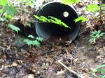 Culvert Crossing, Bethel, Maine