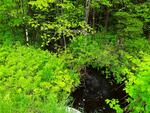 Culvert Crossing, Wales, Maine