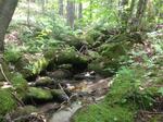 Culvert Crossing, Greenwood, Maine