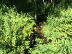 Culvert Crossing, Bethel, Maine