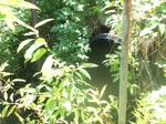 Culvert Crossing, Jay, Maine