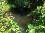 Culvert Crossing, Jay, Maine