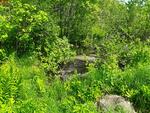 Culvert Crossing, Leeds, Maine