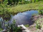 Culvert Crossing, Leeds, Maine