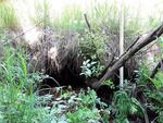 Multiple Culvert Crossing, Leeds, Maine