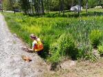 Multiple Culvert Crossing, Leeds, Maine