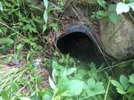 Culvert Crossing, Bethel, Maine