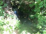 Culvert Crossing, Batchelders Grant Twp, Maine