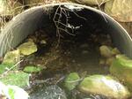 Culvert Crossing, Batchelders Grant Twp, Maine