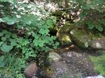 Culvert Crossing, Batchelders Grant Twp, Maine