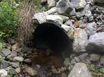 Culvert Crossing, Jay, Maine