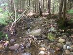 Culvert Crossing, Greenwood, Maine
