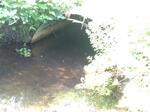 Culvert Crossing, Greenwood, Maine