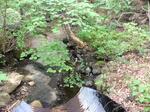 Culvert Crossing, Dixfield, Maine