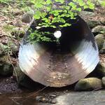 Culvert Crossing, Dixfield, Maine