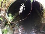 Culvert Crossing, Jay, Maine