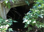 Culvert Crossing, Livermore, Maine