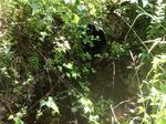 Multiple Culvert Crossing, Batchelders Grant Twp, Maine