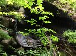 Culvert Crossing, Albany Twp, Maine