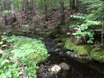 Culvert Crossing, Albany Twp, Maine