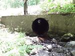 Culvert Crossing, Vienna, Maine